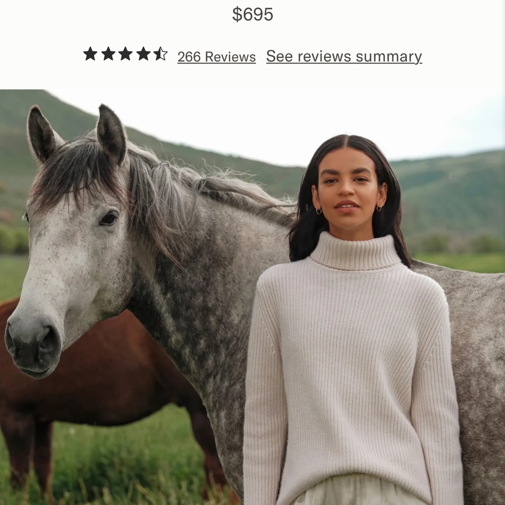 Jenni Kayne 100% Cashmere Turtleneck— ivory•XS•great used condition•no flaws